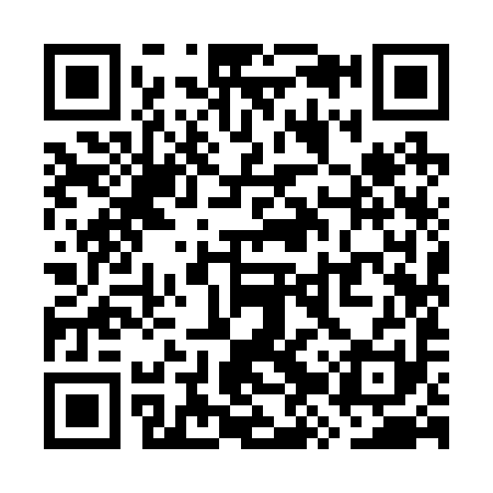 QR code for WZY291
