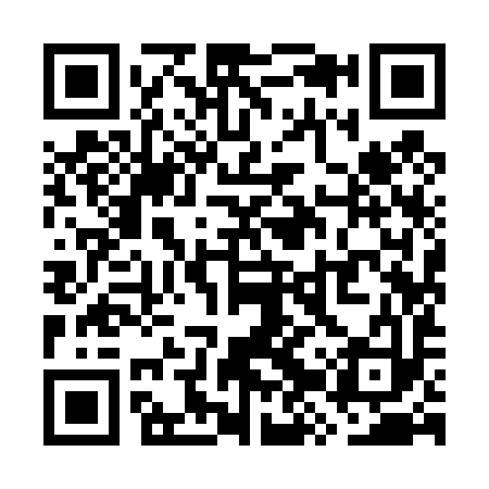 QR code for WZY493
