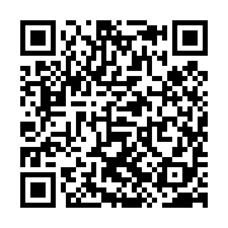 QR code for WZY498