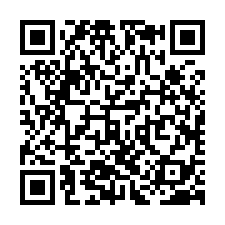 QR code for XAR939