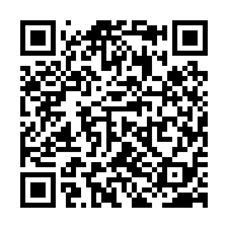 QR code for XDE219