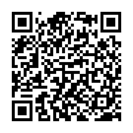 QR code for XDG341