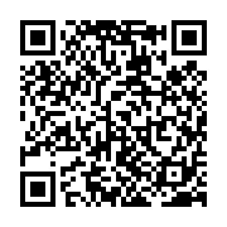QR code for XFI411
