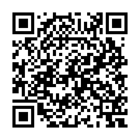 QR code for XFP313