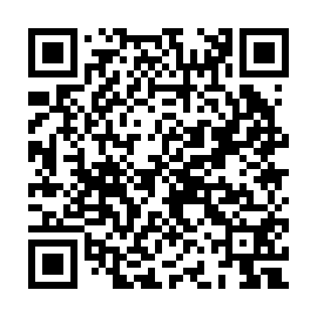 QR code for XFQ250