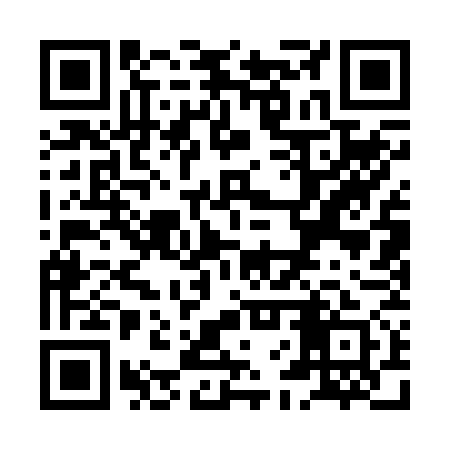 QR code for XFQ271