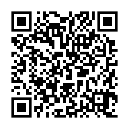QR code for XGJ385