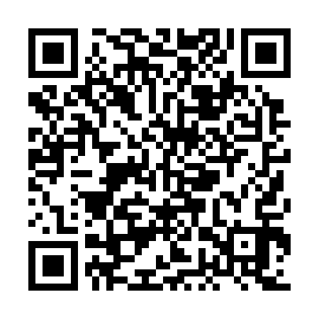 QR code for XGP313