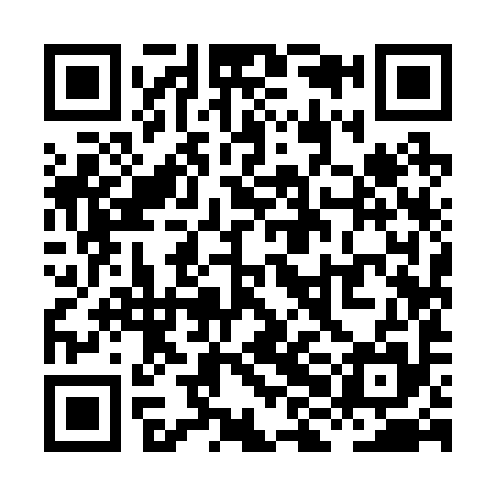QR code for XHI295