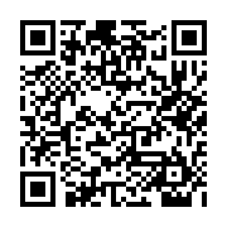 QR code for XIB335