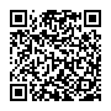 QR code for XIB369