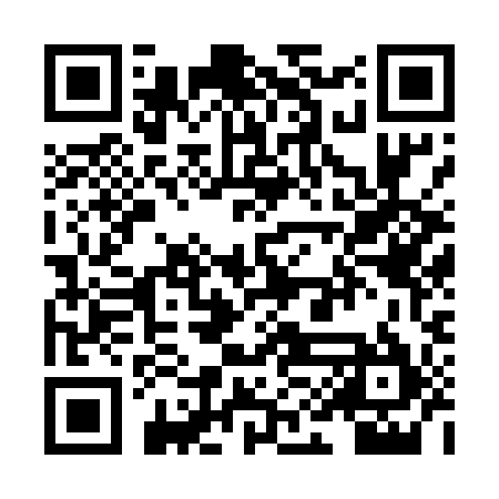 QR code for XIB595