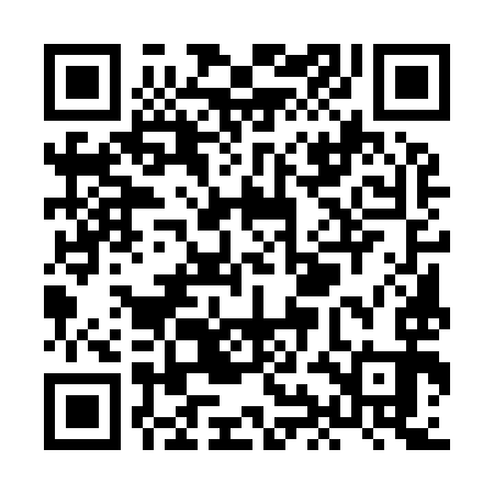 QR code for XIE993