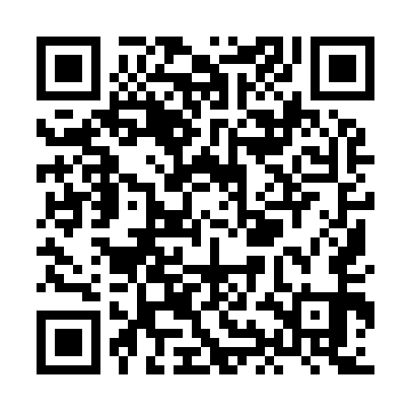 QR code for XII951