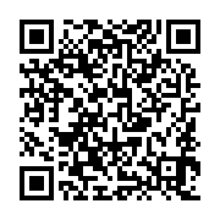 QR code for XIL991