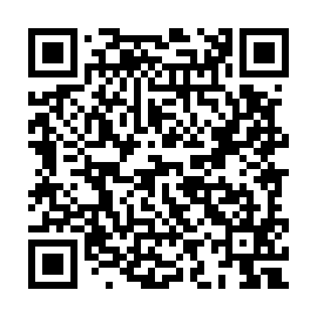 QR code for XIX595
