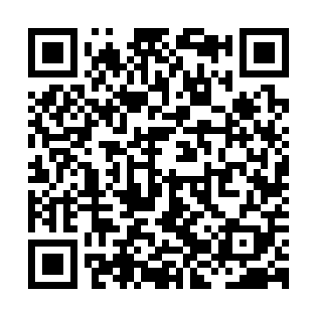 QR code for XJV309