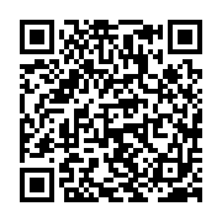 QR code for XKX313