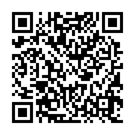 QR code for XLE336
