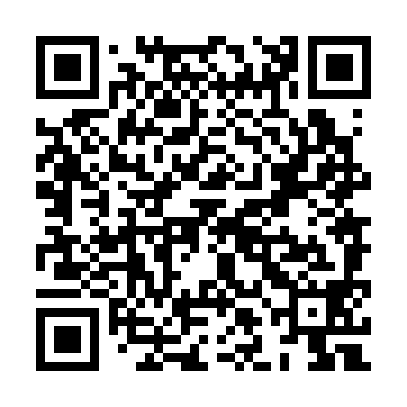 QR code for XLN398