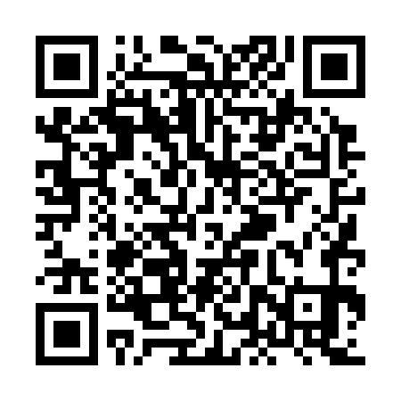 QR code for XLT371