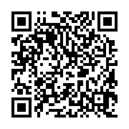 QR code for XLU384