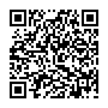 QR code for XML219