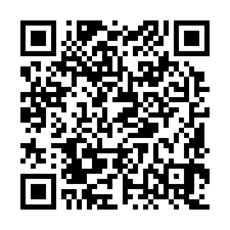 QR code for XNM383