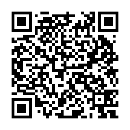 QR code for XNS239