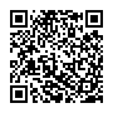 QR code for XPI641