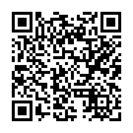 QR code for XPJ381