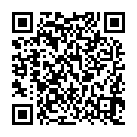 QR code for XPJ993