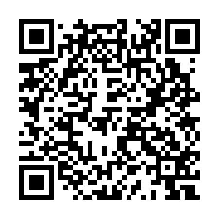 QR code for XQS313