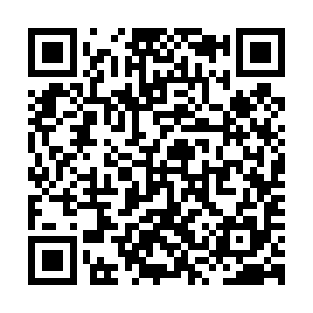 QR code for XSS495