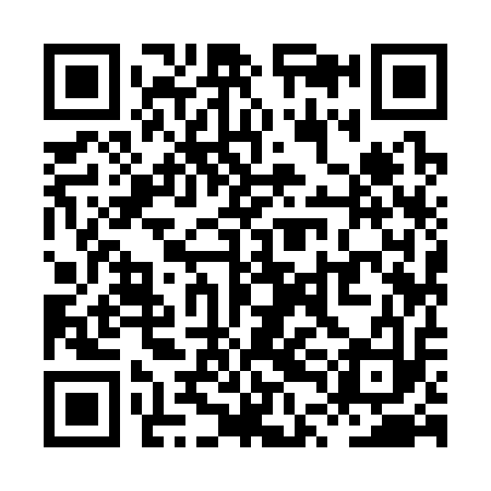 QR code for XTI313