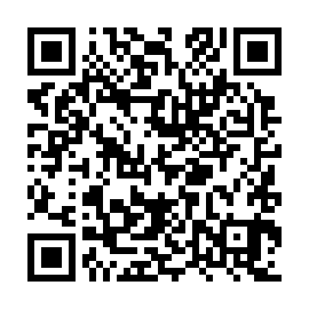 QR code for XTT381