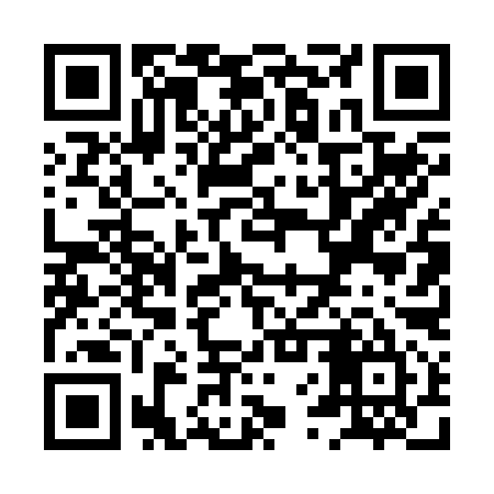QR code for XVT295