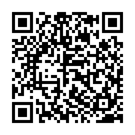 QR code for XXB334