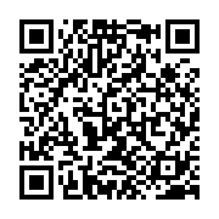 QR code for XYG931