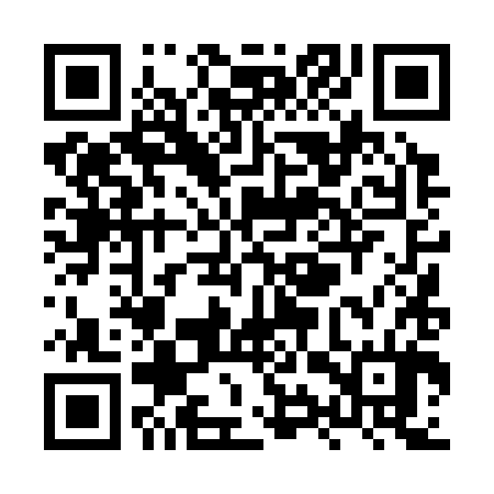 QR code for XYT384