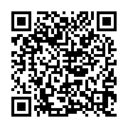 QR code for XYV913