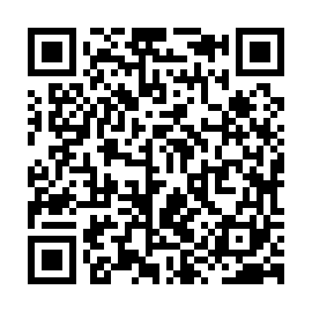 QR code for XYZ161
