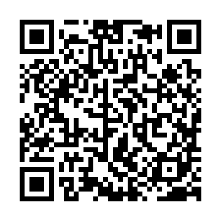 QR code for XYZ381