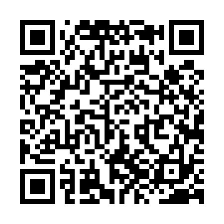 QR code for XZD533