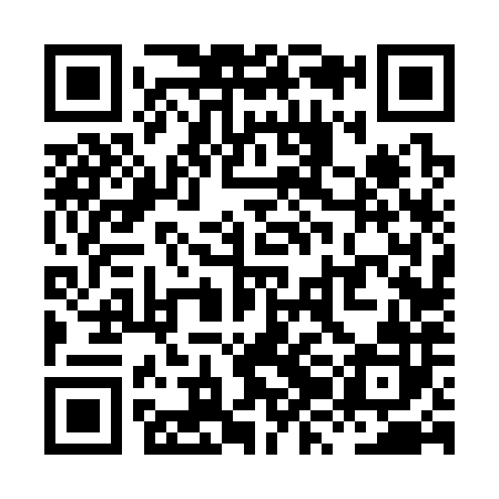 QR code for XZF382