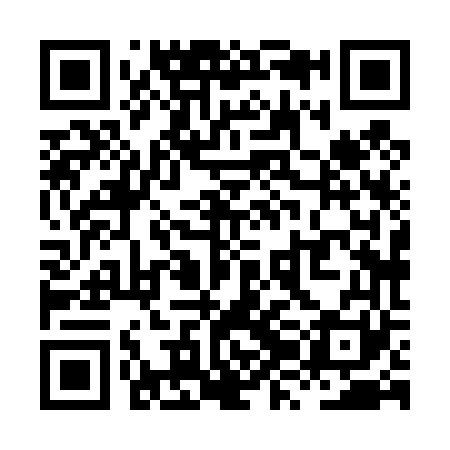 QR code for XZH461
