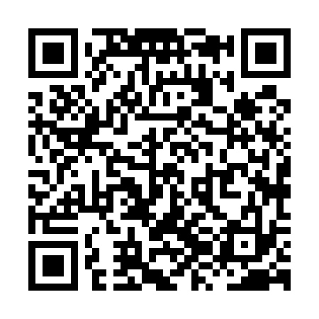 QR code for XZH533