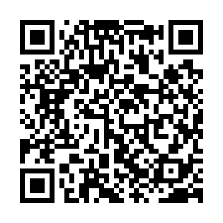 QR code for XZY738