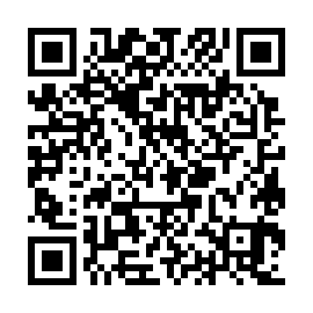 QR code for YAG381