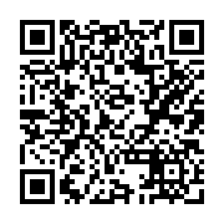 QR code for YAN387
